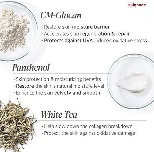 Skincode Regenerating Night Cream 50ml - Shop N Save
