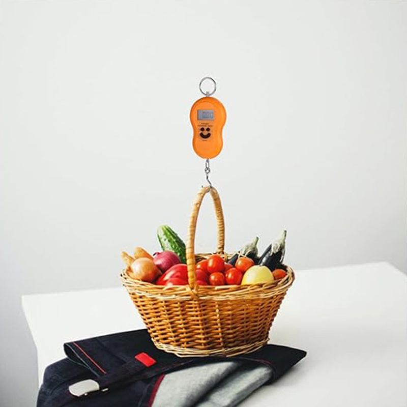 Portable Scale Heavy Duty Hook Food Household Hanging Scale