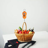 Portable Scale Heavy Duty Hook Food Household Hanging Scale