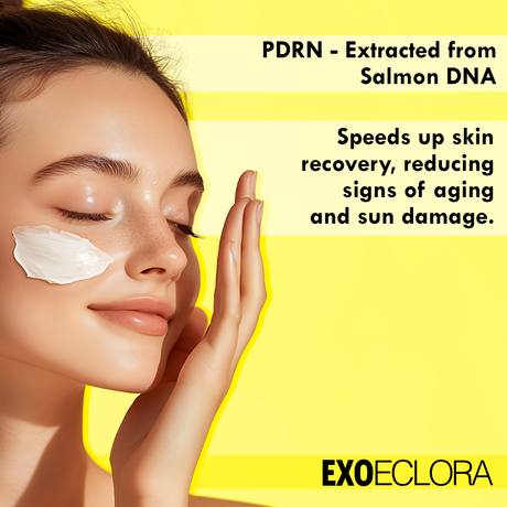 EXOECLORA Korean Exosome Cream with Centella Asiatica, 150ml – Anti-Aging & Skin Regeneration - Hydrating & Soothing Total Care Cream for All Types of Skin