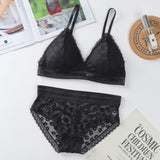 Classy Lace Underwear Suit V-Neck Hollow Out - Black - Shop N Save