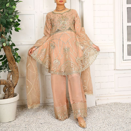 3 Piece Fancy Embroidery Dress - Stylish Light Weight Chiffon Organza Fabric Suit Indian Pakistani Fancy Embroidered Dress For Events Party Outdoor Dress - Rose Pink - Shop N Save