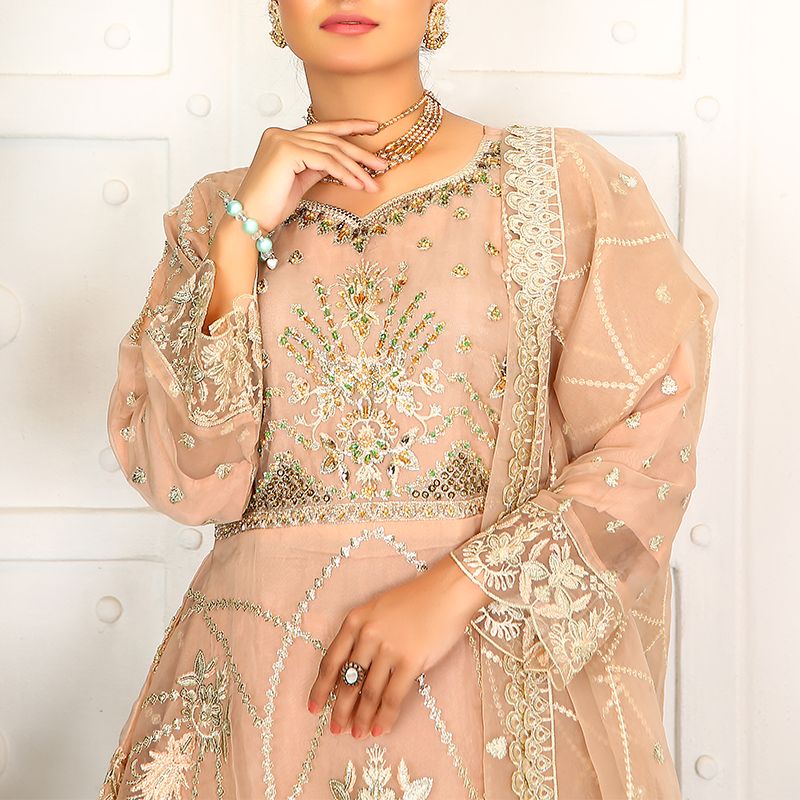 3 Piece Fancy Embroidery Dress - Stylish Light Weight Chiffon Organza Fabric Suit Indian Pakistani Fancy Embroidered Dress For Events Party Outdoor Dress - Rose Pink - Shop N Save