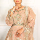 3 Piece Fancy Embroidery Dress - Stylish Light Weight Chiffon Organza Fabric Suit Indian Pakistani Fancy Embroidered Dress For Events Party Outdoor Dress - Rose Pink - Shop N Save
