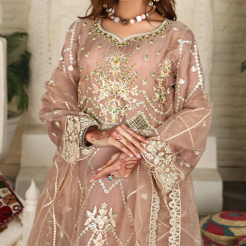 3 Piece Fancy Embroidery Dress - Stylish Light Weight Chiffon Organza Fabric Suit Indian Pakistani Fancy Embroidered Dress For Events Party Outdoor Dress - Dark Pink - Shop N Save