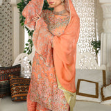 3 Piece Fancy Embroidery Dress - Stylish Light Weight Chiffon Organza Fabric Suit Indian Pakistani Fancy Embroidered Dress For Events Party Outdoor Dress - Orange - Shop N Save