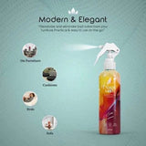 GS Fabric Aerosol Spray Event (300 ML) - Shop N Save
