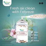 GS Aerosol Spray Flora (300 ML) - Shop N Save