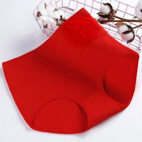 Ladies Soft Stretch Briefs: Stylish, Comfortable Mesh Underwear - Shop N Save