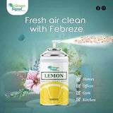GS Aerosol Spray Lemon (300 ML) - Shop N Save