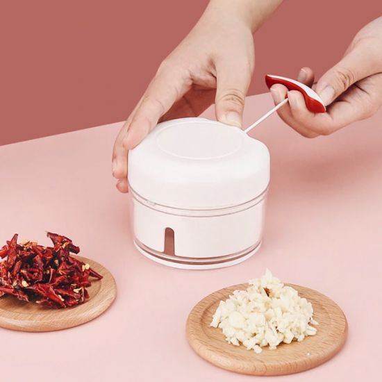 Manual Chilly Nuts Meat Garlic Onion Ginger Chopper - White