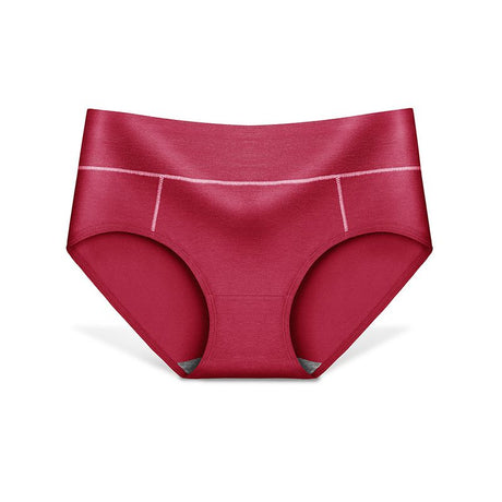 Comfortable High-Rise Women's Briefs: Stylish Fashion Panties for Daily Wear - Shop N Save
