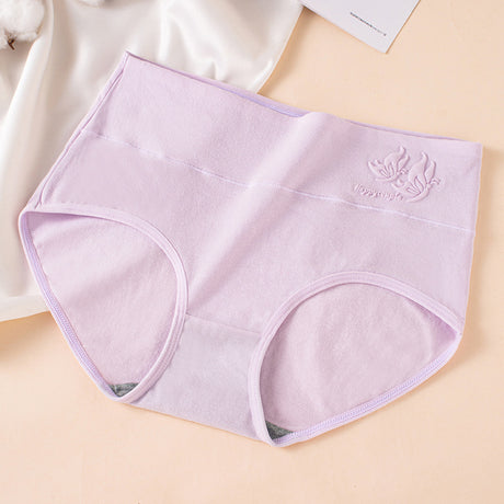 Pure Cotton Briefs: 3D Embossed, Breathable, Graphene Antibacterial Women's Underwear - Shop N Save