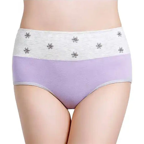 Comfortable High-Rise Cotton Briefs: Stylish Women's Underwear - Shop N Save
