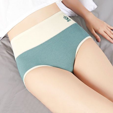 Graphene Cotton Briefs: High-Waist, Antibacterial, Large Size Comfort - Shop N Save