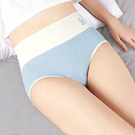 Graphene Cotton Briefs: High-Waist, Antibacterial, Large Size Comfort - Shop N Save