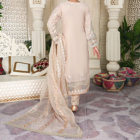 3 Piece Fancy Embroidery Dress - Stylish Light Weight Chiffon Organza Fabric Suit Indian Pakistani Fancy Embroidered Dress For Events Party Outdoor Dress - Gray - Shop N Save