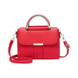 Double Handle Magnetic Closure Ladies Fashion Handbag - Shop N Save