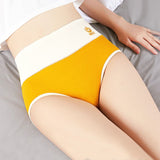 Graphene Cotton Briefs: High-Waist, Antibacterial, Large Size Comfort - Shop N Save