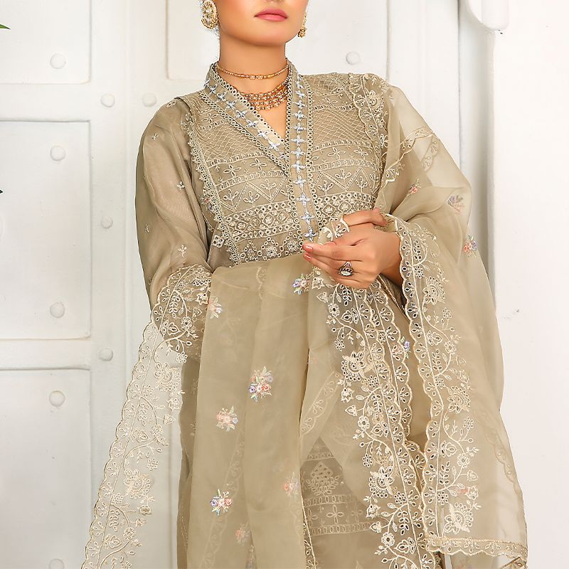 3 Piece Fancy Embroidery Dress - Stylish Light Weight Chiffon Organza Fabric Suit Indian Pakistani Fancy Embroidered Dress For Events Party Outdoor Dress - Khaki - Shop N Save