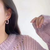 Lavender Purple Hoop Earrings - 2023 Fashion Jewelry Gift - Shop N Save