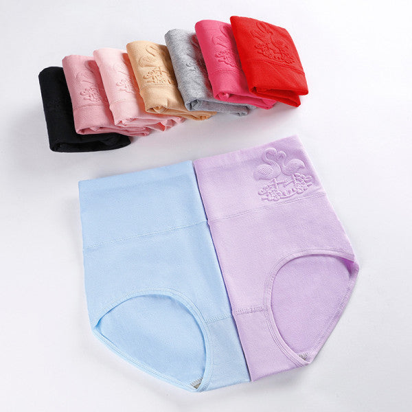 Ultimate Comfort High Waist Soft Breathable Elasticized Innerwear Women's Underwear - Light Purple - Shop N Save