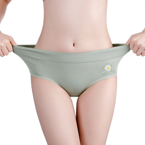 Floral Print High Waist Women's Underwear Soft Stylish and Comfortable Innerwear - Light Green - Shop N Save
