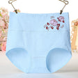 High Elastic Waist Floral Print Girls Panty Brief Women Undergarments Soft Fabric Underwear - Sky Blue - Shop N Save