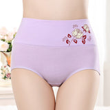 High Elastic Waist Floral Print Girls Panty Brief Women Undergarments Soft Fabric Underwear - Light Purple - Shop N Save