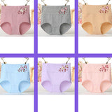 High Elastic Waist Floral Print Girls Panty Brief Women Undergarments Soft Fabric Underwear - Light Purple - Shop N Save