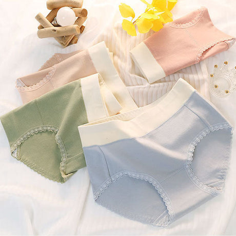 Floral Lace High Waist Briefs Stylish Soft Fabric Women's Underwear - Blue - Shop N Save