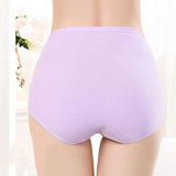 Belly Shaper High Elastic Waist Underwear Brief Stylish Plain Color Women Undergarments - Light Purple - Shop N Save