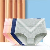 Stylish High Waist Brief Underwear Soft Summer Fabric Elastic Closure Mesh Pattern Underwear - Pink - Shop N Save