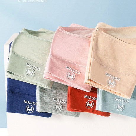 Stylish High Waist Brief Underwear Soft Summer Fabric Elastic Closure Mesh Pattern Underwear - Skin - Shop N Save