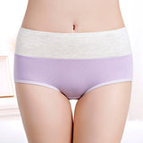 Stylish Light Purple Hipster Cotton Blend Women\'s Underwear Comfortable Elastic Waist Soft Fabric Normal Fit - Shop N Save