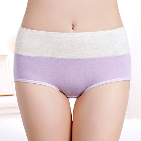Stylish Light Purple Hipster Cotton Blend Women\'s Underwear Comfortable Elastic Waist Soft Fabric Normal Fit - Shop N Save