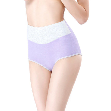 Stylish Light Purple Hipster Cotton Blend Women\'s Underwear Comfortable Elastic Waist Soft Fabric Normal Fit - Shop N Save