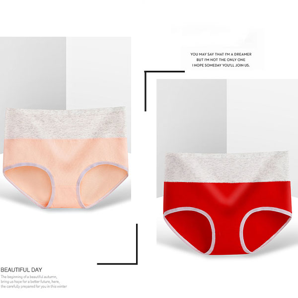 Stylish Red Cotton Blend Hipster Underwear for Women Comfortable Elastic Waist with Normal Fit - Shop N Save
