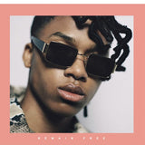 Unisex Fashion Gold Side Sunglasses - Dark Gray - Shop N Save
