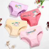 4 Pieces Children Cartoon Cute Underwear Panties - Multi Color